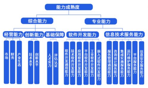 中科大旗榮獲成都市信息技術(shù)咨詢服務(wù)能力成熟度三級(jí)認(rèn)證